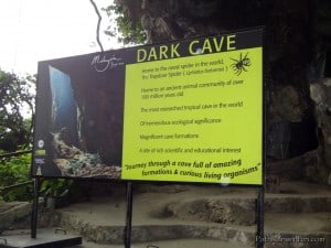 batu-caves-18