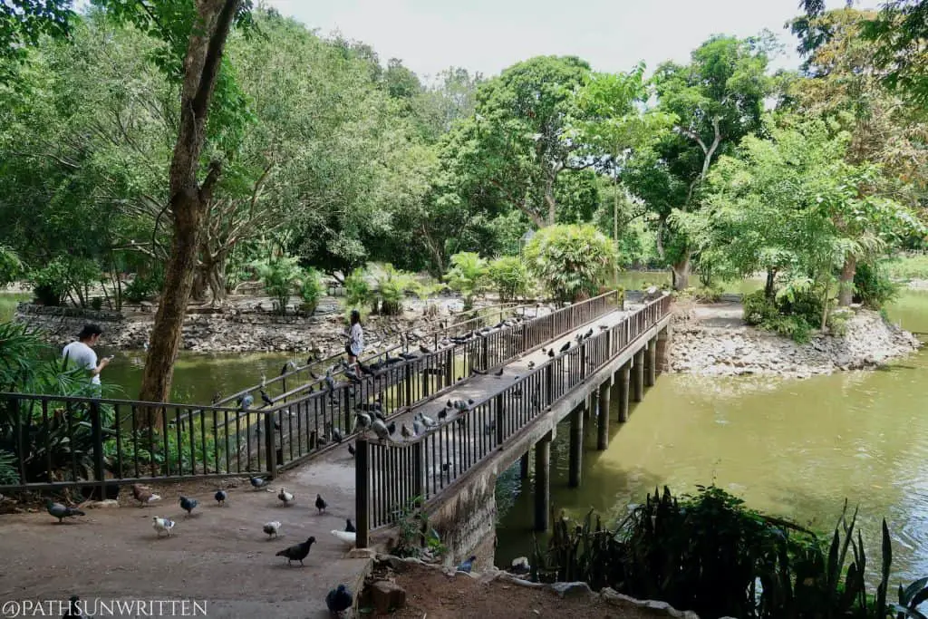 Bridge to the island in Wat Umong's Monks' Abode.
