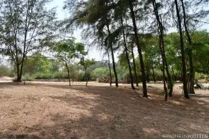 The path approaching Tháp Phú Diên