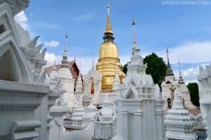 Wat Suan Dok's historic stupa as seen from the Royal Lanna Cemetery.
