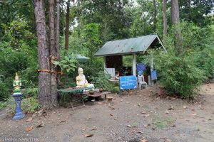 Shrine located in the forest surrounding Wat Luang Nong Ngu