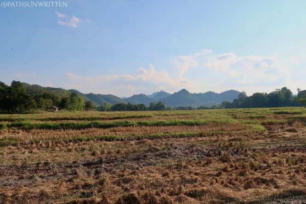 The flatlands of Thung Saliam with the northern highlands in the distance.