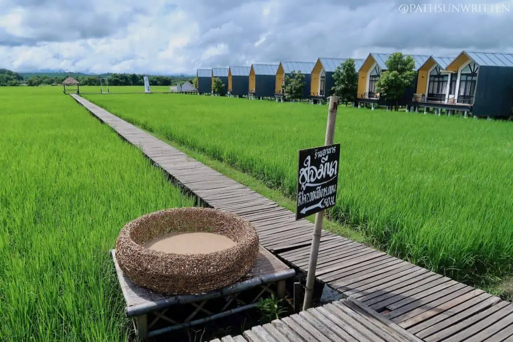 The Fang Modern Hotel in the rice fields south of the town.
