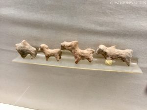 Harappan animal figurines in the Lothal Museum