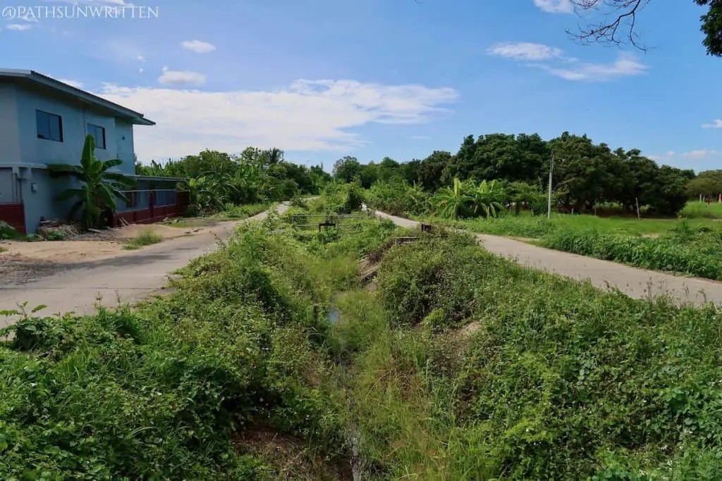 Most of Wiang Mano's moat is now basic irrigation ditches