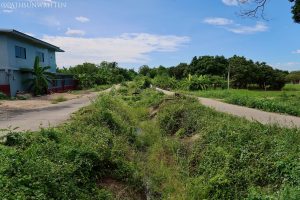 Most of Wiang Mano's moat is now basic irrigation ditches