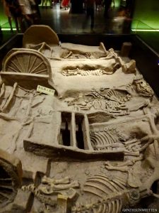 Buried chariots and horse skeletons on display at the Shaanxi History Museum